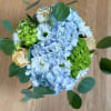 A refreshing and airy arrangement featuring soft blue hydrangeas, crisp white daisies