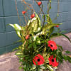 Planter basket of tropical houseplants accented with bright gerbera daisies and a