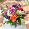 A delightful and fluffy mini arranged in a clear glass vase.