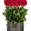 Two dozen long stem Ecuadorian roses in our luxury round box available