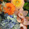 Our newest fall collection brings up the most colorful and joyful combination