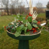 This 2 piece birdbath garden has a variety of green house plants