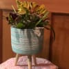 Our Zen Blossoms combines the freshest flowers of the season in a