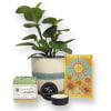 Do you or someone special you know have an excellent green thumb?
