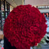 Gorgeous large 200 red rose bouquet from the best farms in Ecuador