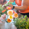 Celebrate fall in style with pumpkins, teas, and baked goods.  Each