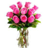 Picture-perfect hot pink roses make a beautiful gift to brighten the day