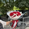 25 Amazing Red Ecuadorian Roses with baby breath around, with ribbons Dior