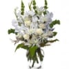 Bright Whites