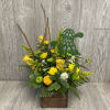 Cute turtle arrangement in a wooden box with a metal turtle pick