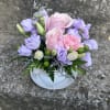 This adorable tea cup comes with lavender Lisianthus, lavender stock, pink, carnations