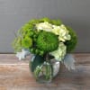 Let our sentiment bowls start a conversation. This monochromatic green bowl evokes