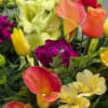 Let us choose the freshest bright flowers from our cooler focusing on