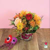 Approx. size: 8&quot; High x 8&quot; Wide
Size category: Compact Size, perfect for