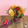 Approx. size: 8&quot; High x 8&quot; Wide
Size category: Compact Size, perfect for