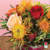 Approx. size: 8&quot; High x 8&quot; Wide
Size category: Compact Size, perfect for