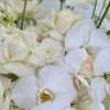 Introducing a magnificent tray flower arrangement, meticulously crafted to capture the essence