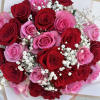If only words could capture the essence of this bouquet&#039;s aroma, you&#039;d