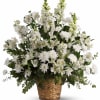 White alstroemeria, snapdragons and stock in a beautiful basket is a gift