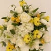 Sunkissed Morning

Brighten any space with the warm glow of Sunkissed Morning, a