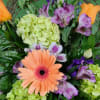 Bells of Ireland,  roses, geberas, alstromeria, and other flowers 