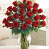Three dozen roses arranged 
In  vase with babies Breath 