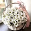 Buyer will receive a Basket with white roses, greenery and mainly daisies!