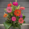Colorful splash of summer Zinnias grown locally and picked fresh daily from