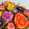Celebrate the special days, big and small, with our medley of bright