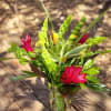 Bring joy and positivity with our Designer&#039;s Choice Bright &amp; Cheerful Floral