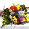 A bright burst of happiness in every bloom, Ideal for gifting or