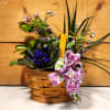 Peaceful Wishes Garden by Savilles Country Florist featuring a gathering of 4&quot;