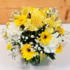 Polka Dot Blooms Bouquet - Yellow,  featuring a 4&quot; glass cubed