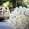 Lovely all white rose floral bouquet for that elegant touch.