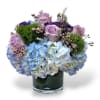This arrangement has lavender roses, blue hydrangeas, green ball dianthus, wax flowers