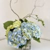 Mix of green and blue hydrangea in a wide cylinder vase