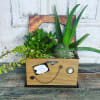 Unleash the magic of  our beautiful plants and succulents! Feeling indecisive?