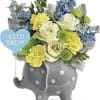 OUR CUTE ELEPHANT HOLDING BLUES WHITES AND YELLOWS FOR THE NEW PRINCE