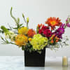 A bold and joyful burst of color, this arrangement captures the energy