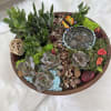 Step into a tiny world of wonder with our &ldquo;Miniature Oasis&rdquo;, a