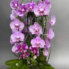 This is one of our new stunning designs. This will include four