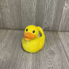Fresh cut flowers arranged in a keepsake ceramic rubber duck container. Flowers