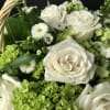 A lovely basket full of white roses and green hydrangeas nested in