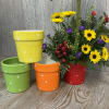 Envision a warp pipe with a sunflower coming out of it. Flowers