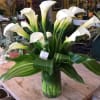 Elegant vase filled with classic open cut calla lilies surrounded by lush
