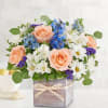 Description
EXCLUSIVE Inspired by the soothing shades of a seaside retreat, our popular