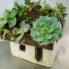 adorable adobe home and a roof top of succulents