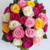 Multi colors 2 dozen roses bouquet