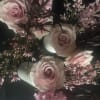 Discover the charm of our Bud Vase Arrangements, perfect for adding a