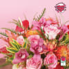 Approx. size: 10&quot; High x 10&quot; Wide
Size category: Medium Size, perfect for